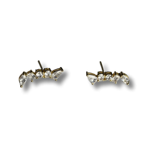 Glam Stud Earrings